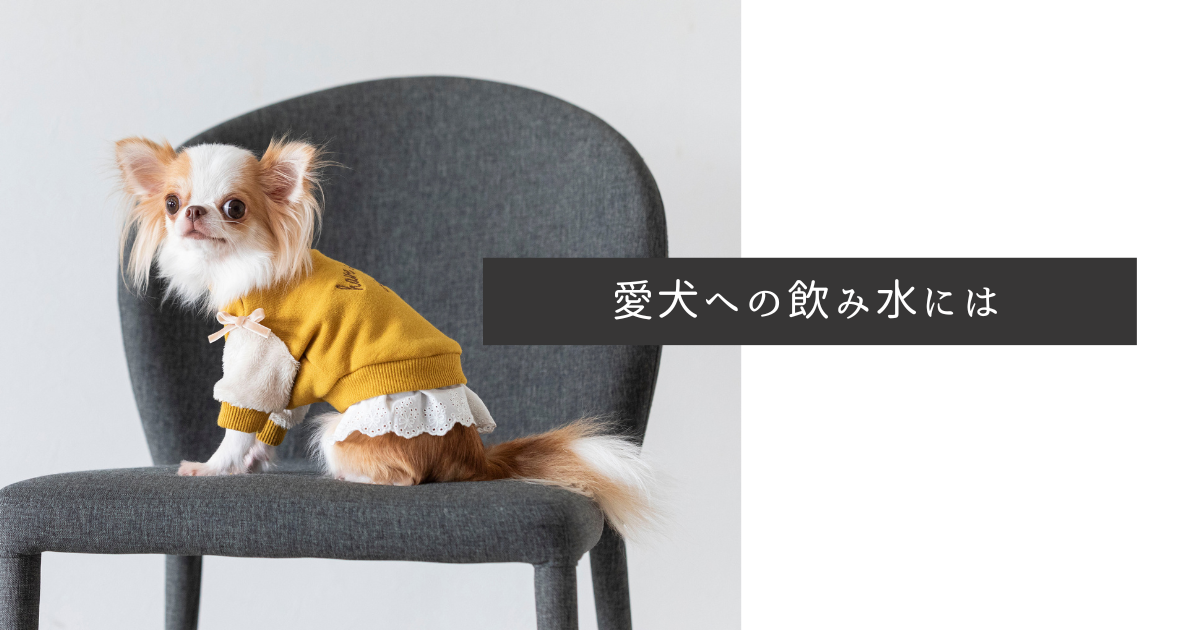 nov1012様 専用 nov1012様専用 ハンドメイド犬服 ワンピース nov1012様 専用 nov1012様専用 ハンドメイド犬服 ワンピース