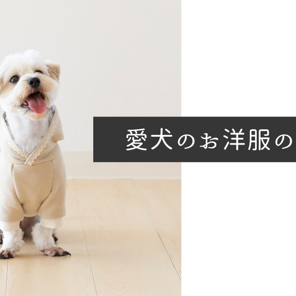 犬 服 サイズ 選び方 ストア