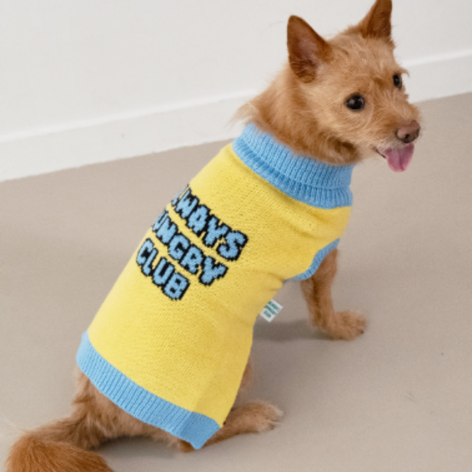 ダルメシアン刺繍　ニット　セーター　黄色　イエロー　used vintage 犬 ロゴ タートルネックセーター イエロー – geluk