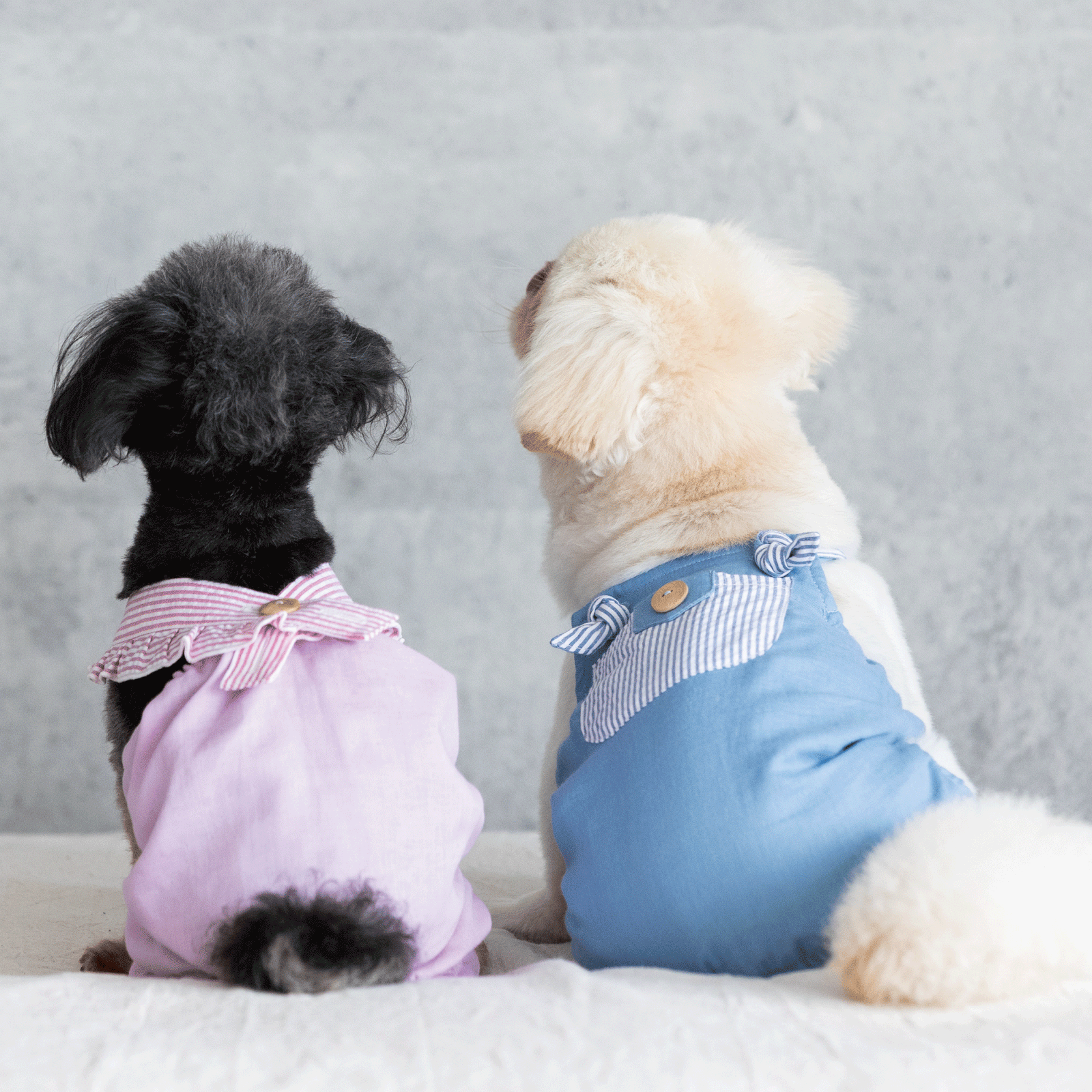 ストライプフリルロンパース – geluk