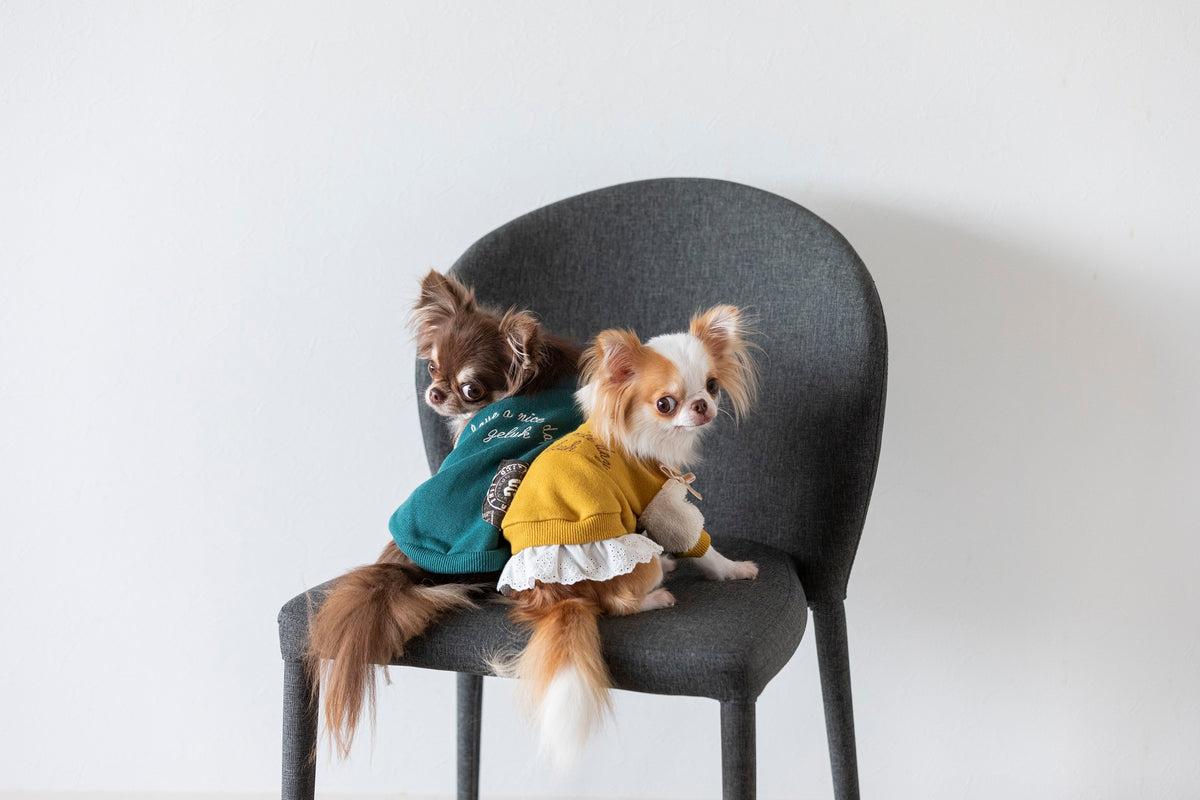 geluk（へルック）手作り犬服・ドッグウェア専門店